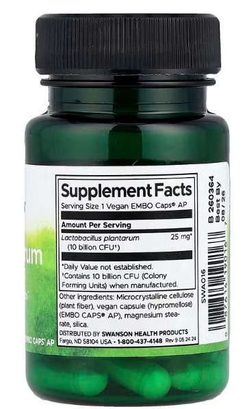 L. Plantarum probiotik, 10 milijardi CFU, 30 veg. EMBO kaps;Za zdravlje probavnog sistema,nadutosti i gasova;Swanson-USA