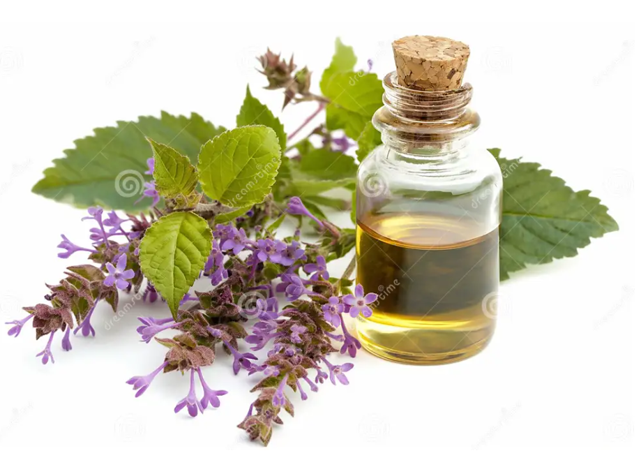 Patchuli-Pačuli essential Oil 20ml-prirodno;Mi Nature original; Smanjuje stres,napetost, djeluje antidepresivno i balansira emocije,odbija komarce imoljce....sjajan miris za dezodoranse i parfeme