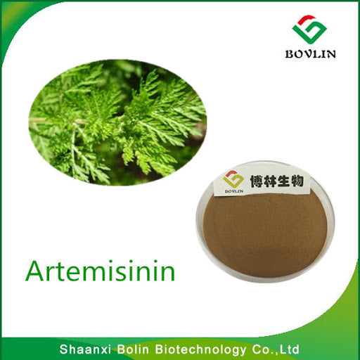 Super Artemisinin ,Slatki Pelin-Sweet Wormwood... kristalni-prah 20g u kesici;