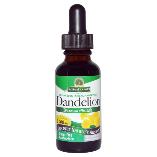 Dandelion(Maslacak)