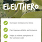 Sibirski ELEUTHERO korijen, 1,275 mg, 100 veganskih kapsula*Adaptogen za vaš Imunitet,energiju i protiv stresa