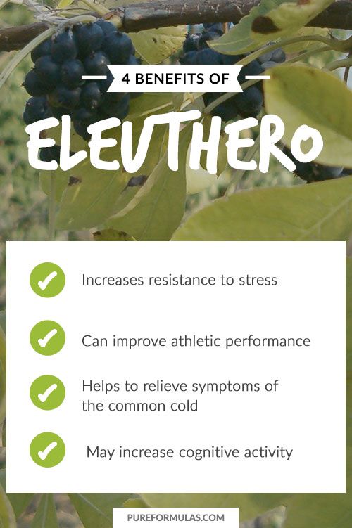 ELEUTHERO, 500 mg, 250 Veg kapsula