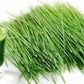 Ječmena trava u prahu za sok bez polpe 100g;BARLEY GRASS JUICE POWDER