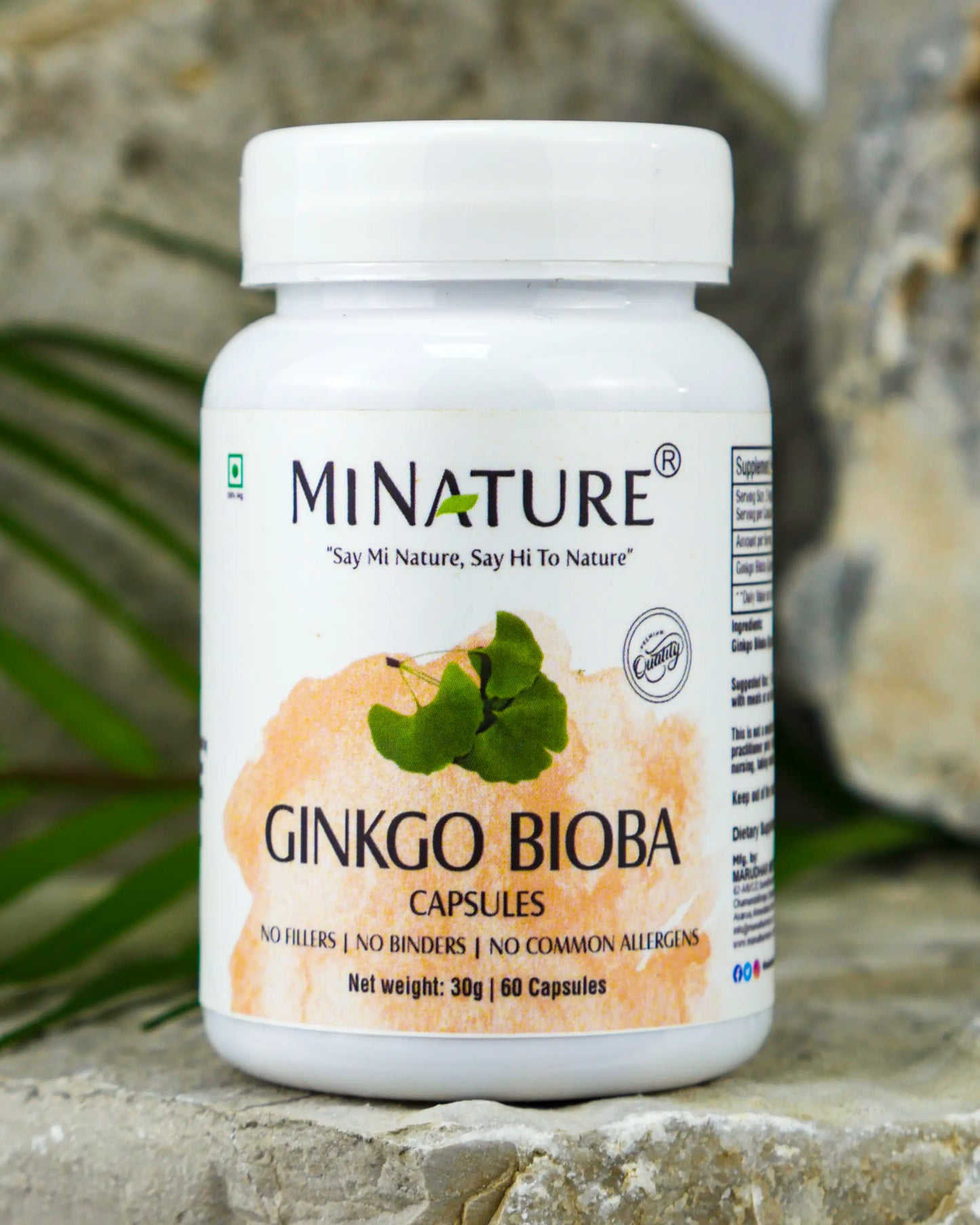 Ginko Biloba 450mg 60 kapsula