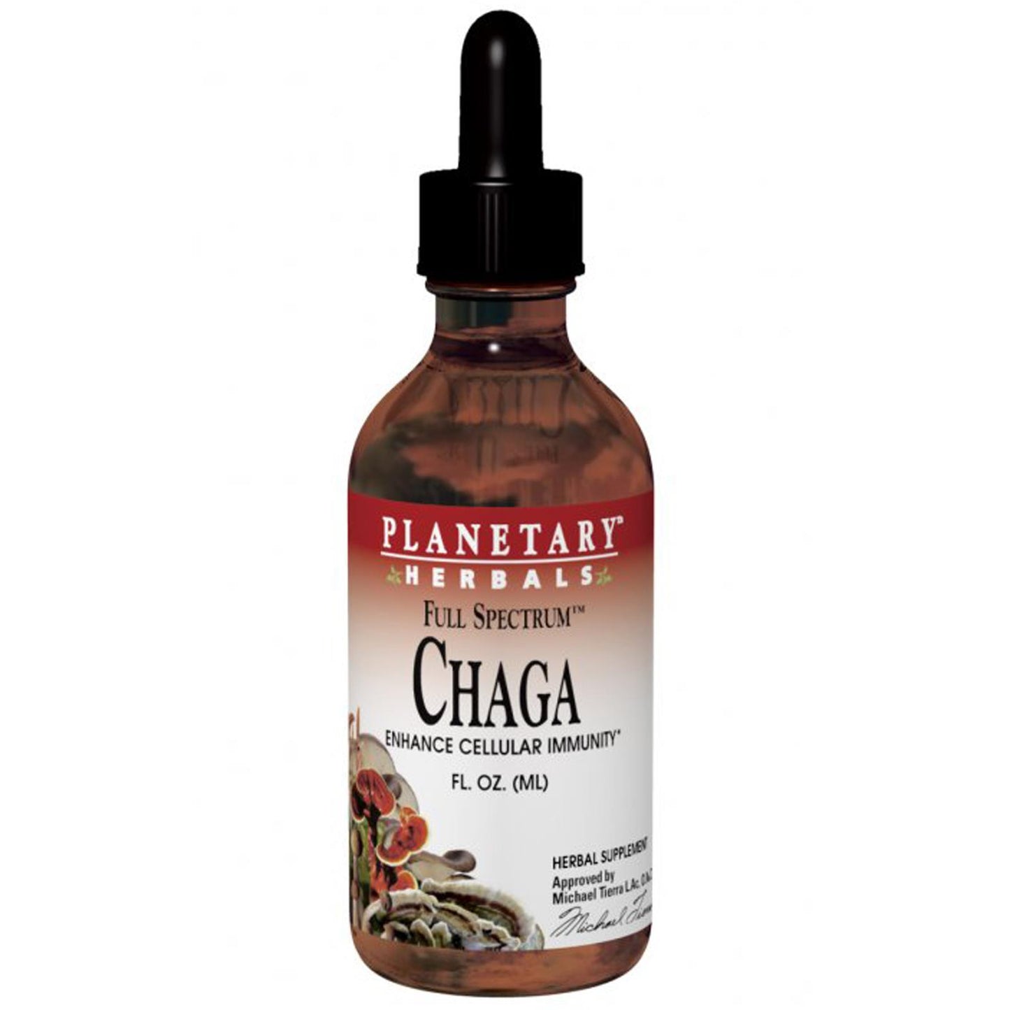 Chaga extrat 30 ml