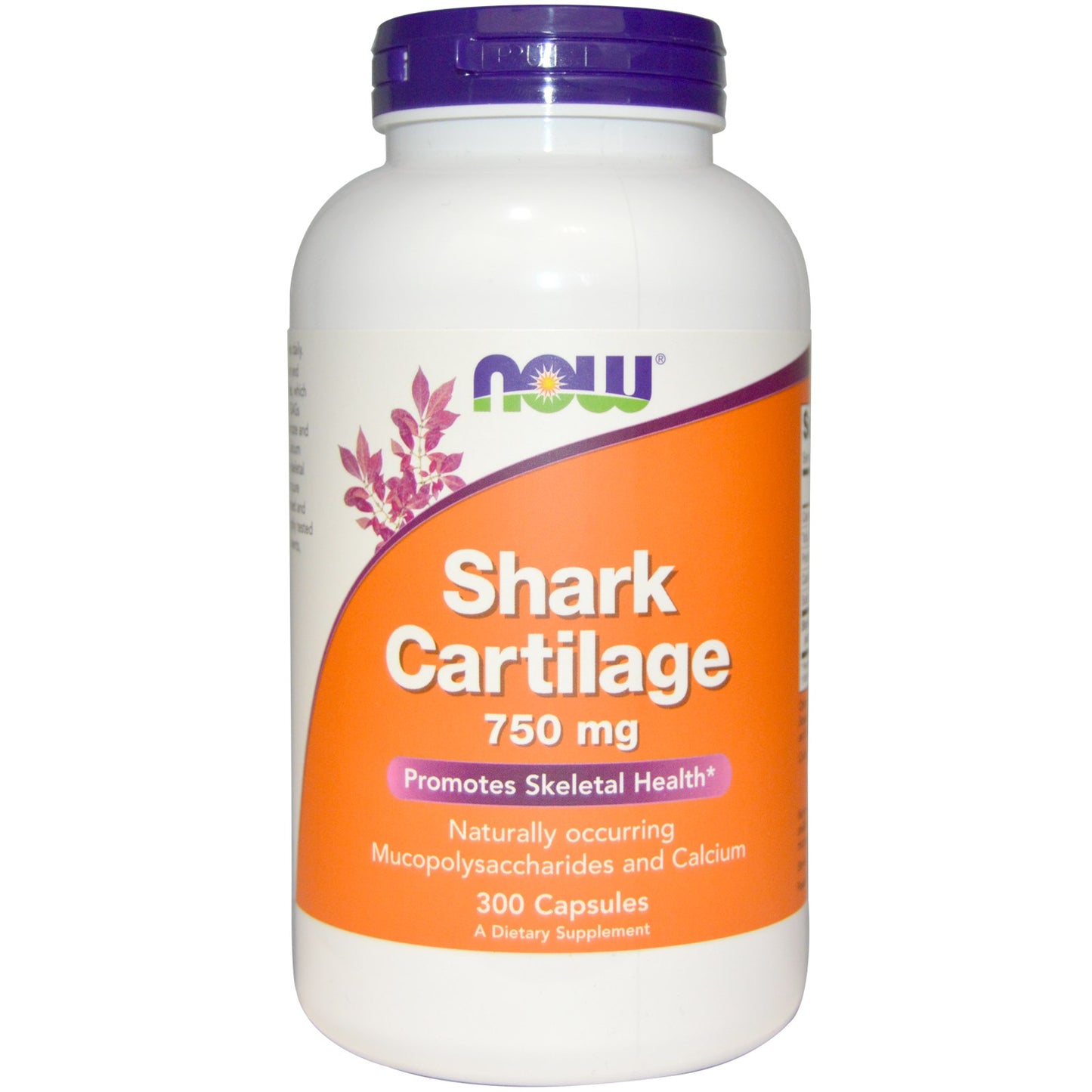 Shark Cartilage 750 mg Capsules