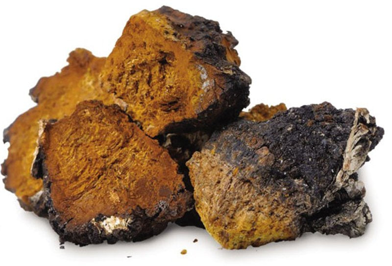 CHAGA-ČAGA EXTRACT gljive 10:1 100g, Marudhar Impex-Mi Nature Original