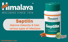 Septilin 60 tableta kao prirodni pojačivač IMUNITETA - Himalava