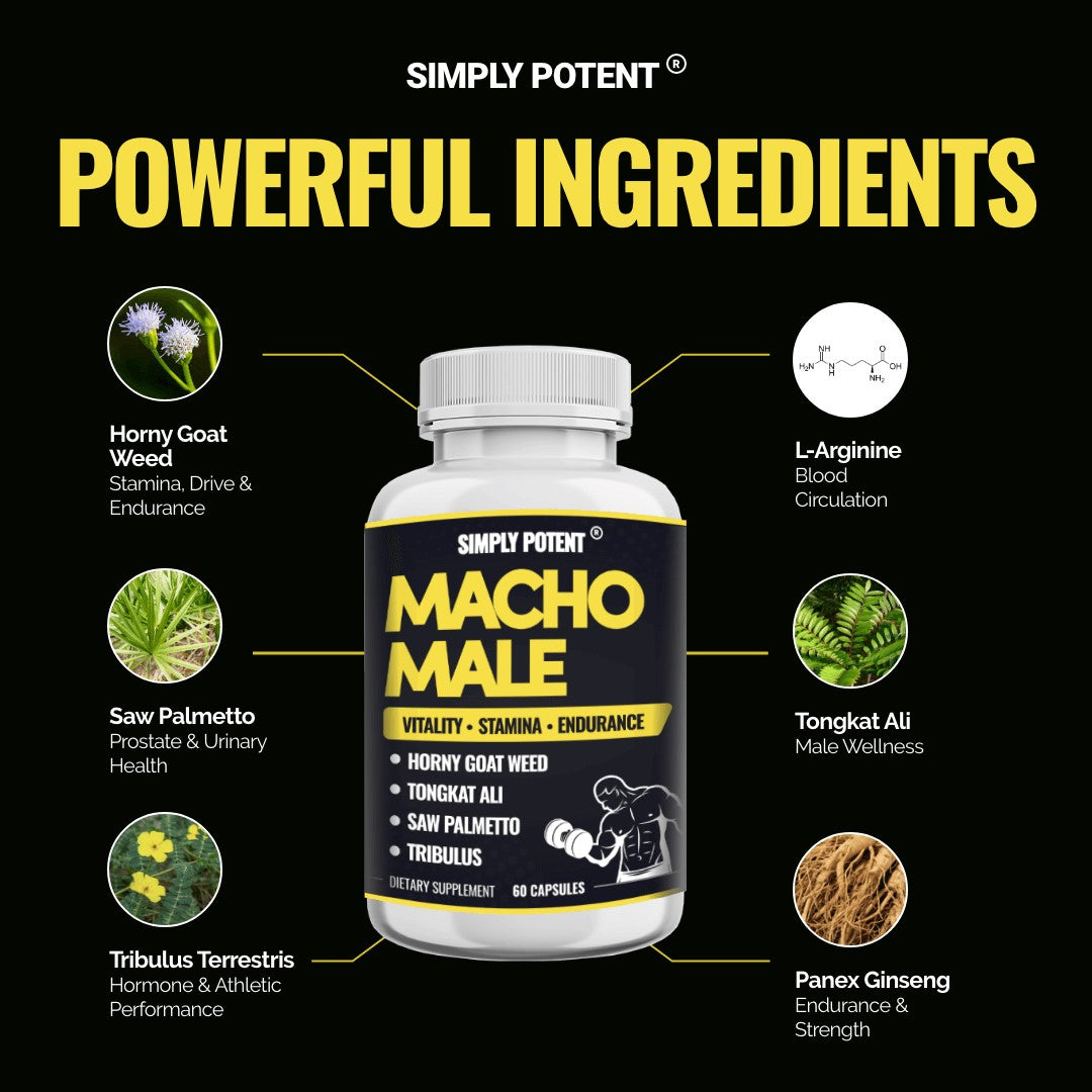 MACHO MALE 60 kaps.Sa 9 sastojaka kao što su L-arginin, Tongkat Ali,extract korijena Mace;Horny Goat;Afričke šljive extrakt,Bobičaste palme(Saw Palmertto),Panax Ginseng,Tribulus, Peruanski Muira Pama.;Za vašu izdržljivost i vitalnost!; SIMPLY POTENT USA