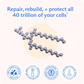 NOOTROPIC-BodyBio  PC fosfatidilholin + fosfolipidi - LIPOSOMSKI za visoku apsorpciju - optimalno zdravlje mozga i ćelija - poboljšava pamćenje, kognitivne sposobnosti, fokus i jasnoću - 100% bez GMO-a - 100 mekih kapsula; USA