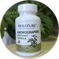 Andrographis(ANDROGRAFIS) 60 caps od po 500mg. Mi Nature Original;Za vaš imunitet,protiv gripa i virusa,u borbi sa kancerom detox jetre,jačanje zdravlja zglobova,,moguća primena i kod post- Hemoterapije....