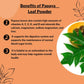 PAPAYA LEAF u prahu 227g -Organik Mi Nature