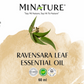 Ravensara ulje(iz lista) 60ml-"Mi Nature";100% Čisto Esencijalno Ulje; za Herpes,Humani papiloma virus (HPV), Virusne infekcije i infekcije disajnog trakta i prosora...  Prirodna antivirusna, respiratorna i emocionalna podrška , Akciska cijena