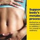 Berberine Phytosome-;9,6 puta bio-raspoloživiji od klasičnog; Promoviše ravnotežu glukoze,kod Insulinske rezistencije,metabolizam,za Holesterol-Tigleciridi,smanjenje težine i zdravlje srca | 60 kap.Reklamna cijena sa popustom -Novitet