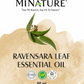 Ravensara ulje(iz lista) 60ml-"Mi Nature";100% Čisto Esencijalno Ulje; za Herpes,Humani papiloma virus (HPV), Virusne infekcije i infekcije disajnog trakta i prosora...  Prirodna antivirusna, respiratorna i emocionalna podrška , Akciska cijena