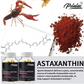 Astaxantin(*Astaksantin) 60 kapsula(u 2 kaps.12mg) - snažan antioksidans, Podržava oči i kožu(UV zrake), mišiće,Za Imunitet,kardio i srce,mozak,... .Omiljen i kod sportista i ljudi koji se izlažu suncu...