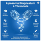 Magnesium L-Threonate LIPOSOMALI oblik- (Magtein),60 softgel kaps.;2000mg-2 kapsule;Made in China -distribucija  za EU,Za bolje pamćenje i učenje,bolje konigtivne funcije i ostalo...REKLANI POPUST !!!!!