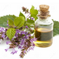 Patchuli-Pačuli essential Oil 20ml-prirodno;Mi Nature original; Smanjuje stres,napetost, djeluje antidepresivno i balansira emocije,odbija komarce imoljce....sjajan miris za dezodoranse i parfeme