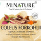 Coleus Forskohlii + Arjuna + Kurkuma(3u1-Complex)-60 caps.Prirodna podrška zdravlju srca i krvnih sudova,bolji protok krvi, cirkulaciji i metabolizmu,Mi Nature Original,Reklamna Akciska cijena(Prvi put na našem tržištu)