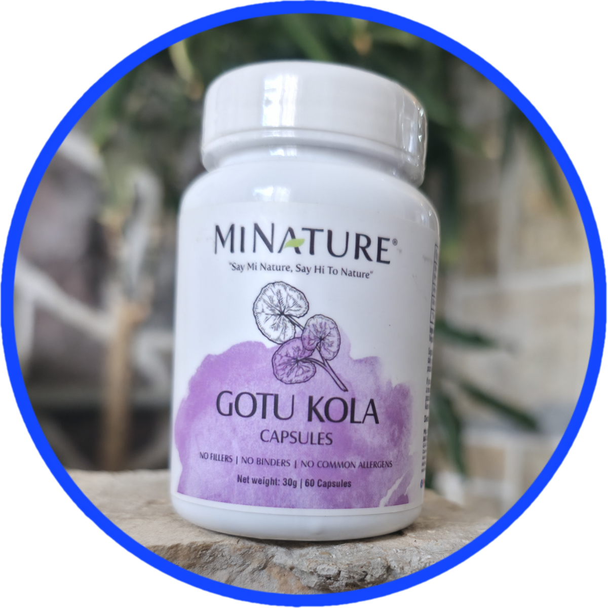 Gotu Kola 6kaps.,doza u 2 kapsule je 1000mg;"Mi Nature"-Indija; Poznata u Ajurvedi kao biljka dugovječnosti ,za regenaraciju tkiva,moždano-konigitivna podrška