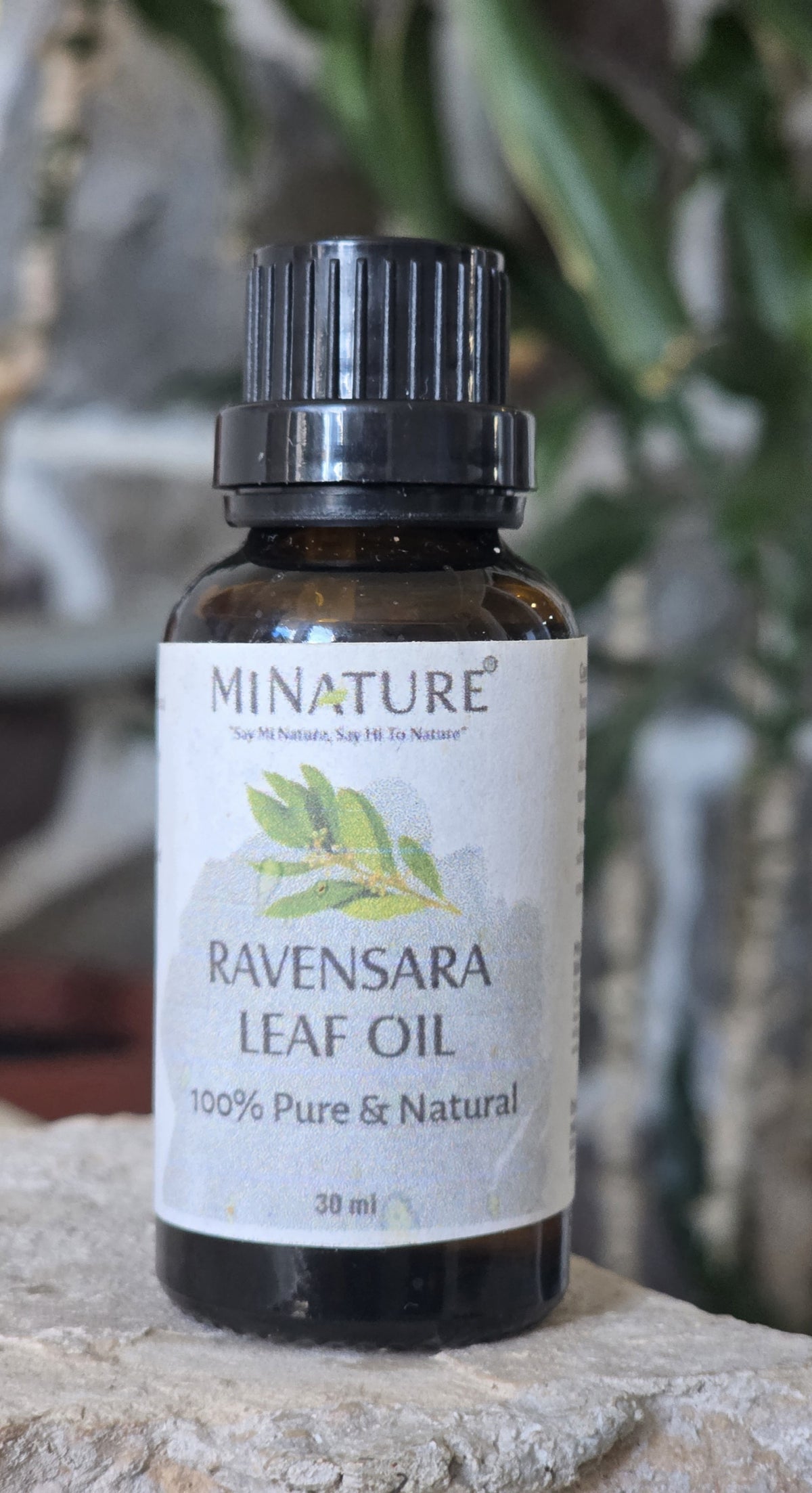 Ulje Ravensara 30ml-"Mi Nature";100% Čisto Esencijalno Ulje; za Herpes,Humani papiloma virus (HPV), Virusne infekcije i infekcije disajnog trakta i prosora...  Prirodna antivirusna, respiratorna i emocionalna podrška , Akciska cijena