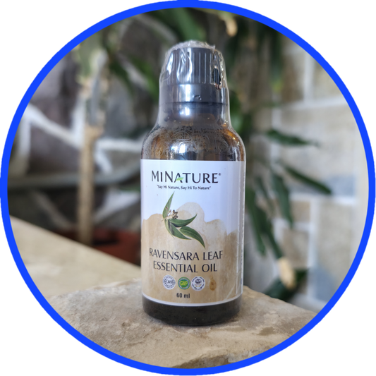 Ravensara ulje(iz lista) 60ml-"Mi Nature";100% Čisto Esencijalno Ulje; za Herpes,Humani papiloma virus (HPV), Virusne infekcije i infekcije disajnog trakta i prosora...  Prirodna antivirusna, respiratorna i emocionalna podrška , Akciska cijena