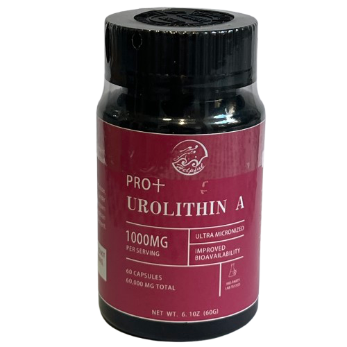 UROLITHIN A 60 caps.; Za mesec dana 30 servisnih doza oi 1000mg u 2 kapsule;Za zdravlje mišića,Protiv STARENJA i još mnogo toga dole opisano. (REKLAMNA cijena ovog mjeseca)