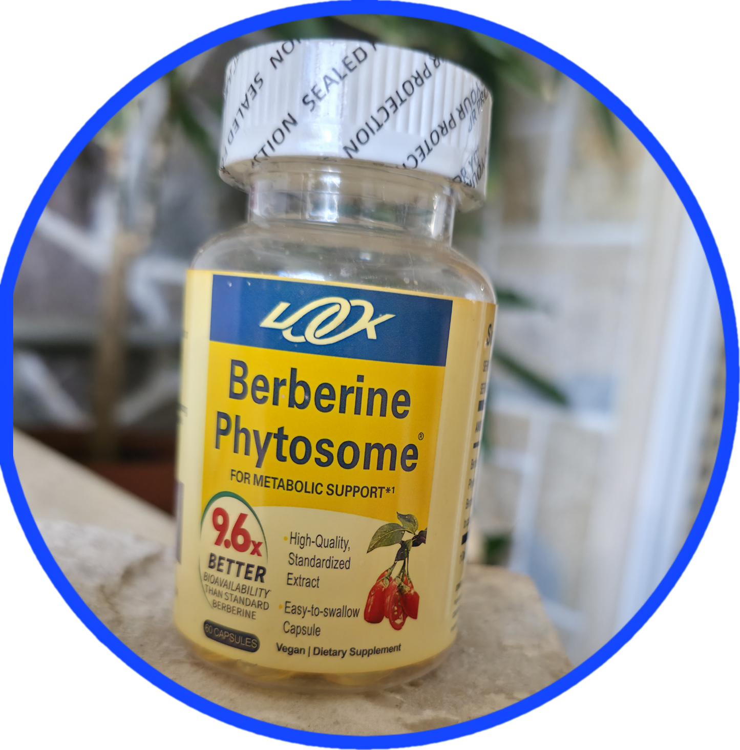 Berberine Phytosome-;9,6 puta bio-raspoloživiji od klasičnog; Promoviše ravnotežu glukoze,kod Insulinske rezistencije,metabolizam,za Holesterol-Tigleciridi,smanjenje težine i zdravlje srca | 60 kap.Reklamna cijena sa popustom -Novitet