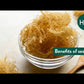 Sea Moss Plus (Irska morska Mahovina obogaćeno sa) +  Bladderwrack + korijen Čička; 30 kapsula-;Powered by Naturals-USA; širok spektar zdravstvenih prednosti